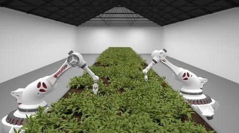 Automated planting process using advanced robot for planting leaves in trays. Illustrazione stock