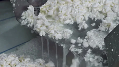 Automated Processing Line High Amount Of Soft Cheese Falls Down From Tray Stock Footage 289011906
