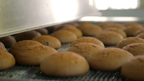 Automated production line and conveyor belt at modern bakery factory interior Stock Footage 92417341