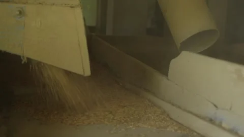 Automated Rice Milling Machine - Efficient Grain Processing Stock Footage 320937593