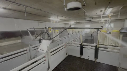 Automated Robotic Cleaning System in Modern Pig Farm Stock-Footage 335547872