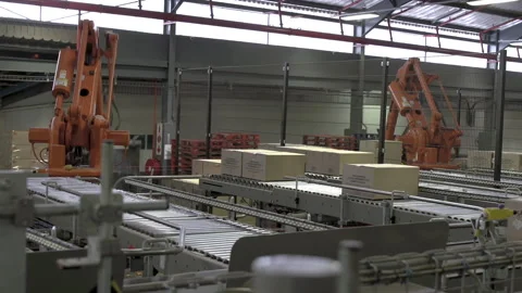 Automated robotic palletizing arms in warehouse stack boxes. Stock Footage 137630732