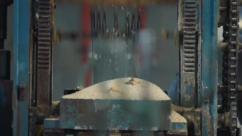 Automated saw equipment processing the lumber material in the factory workshop Stock Footage 248855034