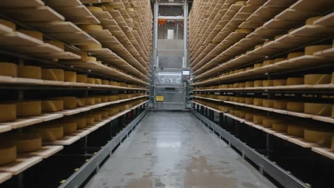 Automated system handling cheese wheels in a modern dairy factory Vidéo 313549898