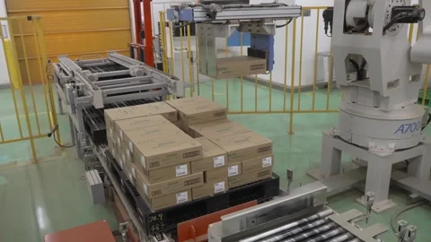 Automated System Palletizing Finished Green Tea Cartons Stock Footage 340010059