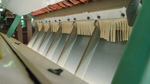 Automated tea processing line in factory. Fresh leaves undergo sorting Stock Footage 274432908