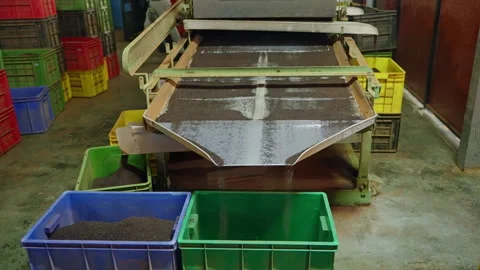 Automated tea processing line in factory. Dry loose leaves fall from conveyor Stock Footage 274433794