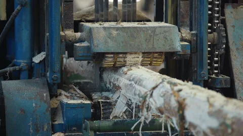 Automated wood processing machine is cutting the log into multiple pieces Stock Footage 248854831