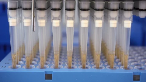 Automatic analysis of DNA. Automation in the clinical laboratory. Pipetting Stock Footage 91302482