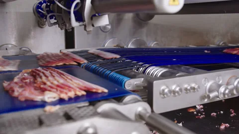 Automatic bacon portioning for placement in the package Stock Footage 205489583