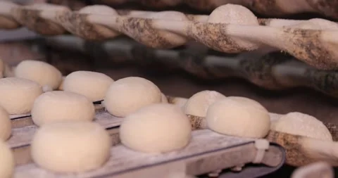 Automatic bakery production line, Pitas - bread production line in the bakery  Vidéo 258758485