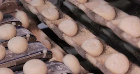 Automatic bakery production line, Pitas - bread production line in the bakery  Vidéo 258758981