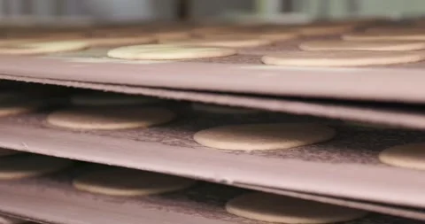 Automatic bakery production line, Pitas - bread production line in the bakery  Vidéo 258759115