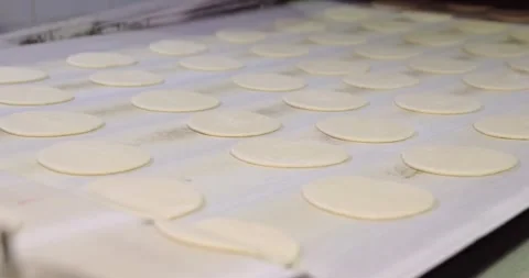 Automatic bakery production line, Pitas - bread production line in the bakery  Vidéo 258759294
