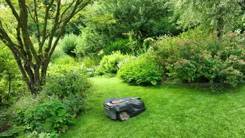 Automatic battery Lawn mower cutting green grass Stock Footage 218482747