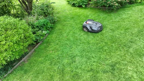 Automatic battery Lawn mower cutting green grass Stock Footage 218483144