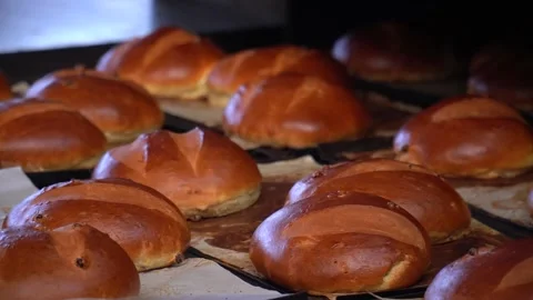 Automatic bread production line Stock Footage 223909899