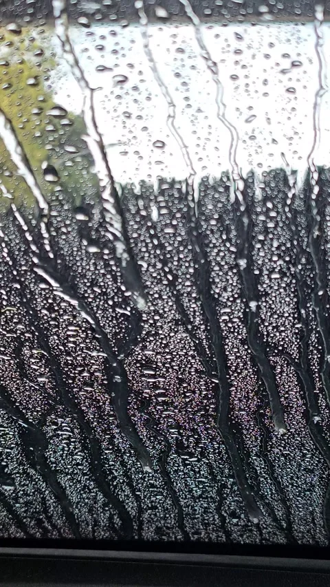 Automatic Car Wash Brush Cleaning Vehicle Windshield Stock Footage 341407055