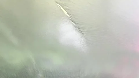 Automatic car wash from inside the car. Dashboard view inside of car in carwash Stock Footage 265325239