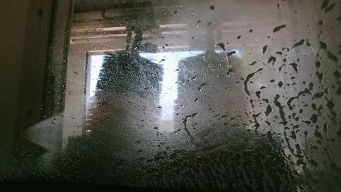 Automatic car wash process from inside the automobile. Stock Footage 319108567
