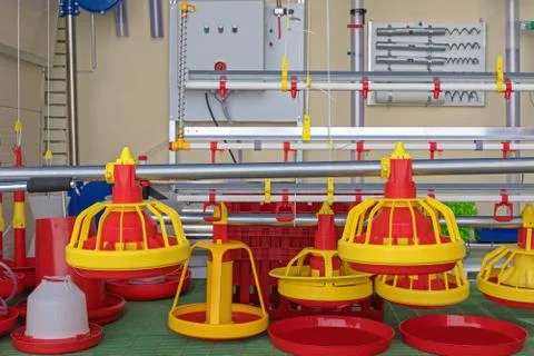 Automatic Chicken Feeder Stock Photos