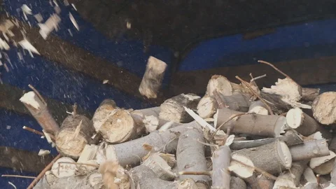 Automatic chopper chopping thick branches. Stock Footage 117906997