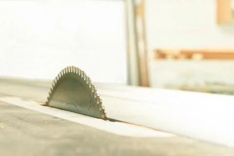 Automatic circular saw with circular saw for cutting wood Stock Photos