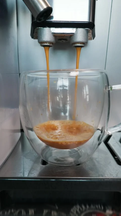Automatic Coffee Maker Pouring Espresso Into Double Walled Cup Stock Footage 339189179