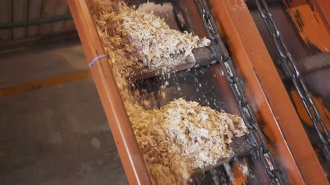 Automatic collection of sawdust with a special conveyor belt after sawing logs Stock Footage 130911554