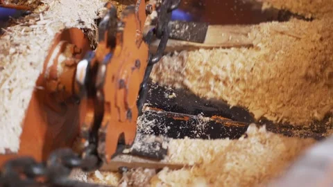 Automatic collection of sawdust with a special conveyor belt after sawing logs Stock Footage 130911609