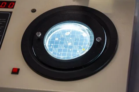 Automatic colony counter 스톡 사진