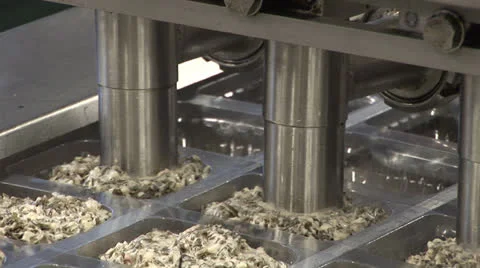 Automatic conveyor for packaging salads, fish and seaweed Stock Footage 24950990