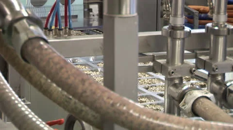 Automatic conveyor for packaging salads, fish and seaweed Stock Footage 24951092