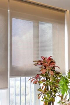 Automatic curtain installed in a ceiling niche. Stock Photos