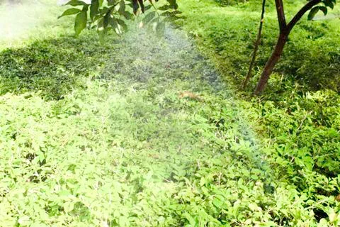 Automatic drip system 库存照片