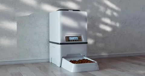 Automatic Electronic Digital Pet Dry Food Storage Meal Feeder Dispenser Stock Footage 266438351
