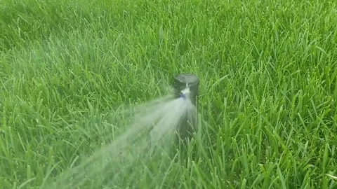 Automatic garden irrigation system watering lawn.  Stock Footage 238445312