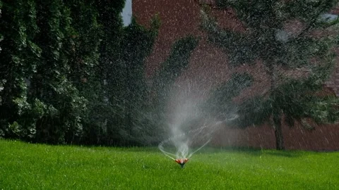 Automatic garden irrigation system watering lawn.  Stock Footage 242589374