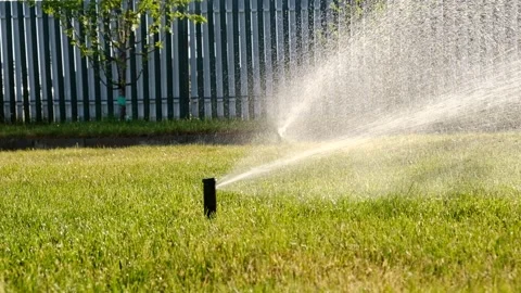 Automatic garden irrigation system watering lawn.  Vidéo 244240884