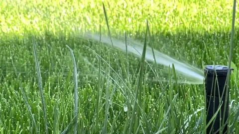 Automatic garden irrigation system watering lawn.  Stock Footage 282246730