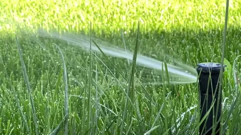 Automatic garden irrigation system watering lawn.  Stock-Footage 282246736