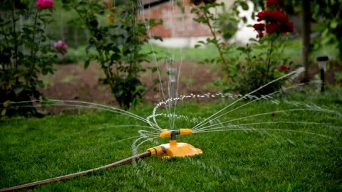 Automatic garden irrigation system watering lawn Savings of water from sprinkler Stock-Footage 334656804