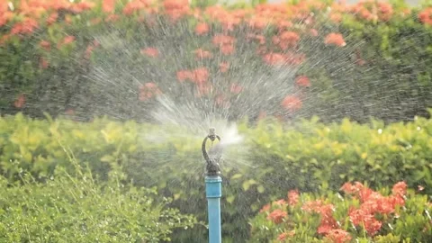 Automatic garden irrigation system watering lawn Savings of water from sprinkler Stock-Footage 334656816
