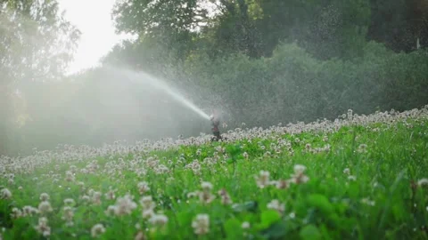 Automatic garden irrigation system watering lawn Savings of water from sprinkler Vídeos de archivo 334657165