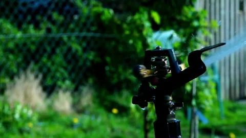 Automatic garden irrigation system watering lawn Savings of water from sprinkler Video stock 334657407