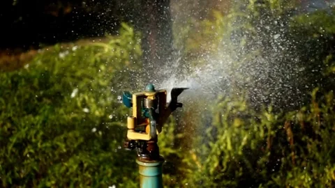 Automatic garden irrigation system watering lawn Savings of water from sprinkler Stock-Footage 334657619