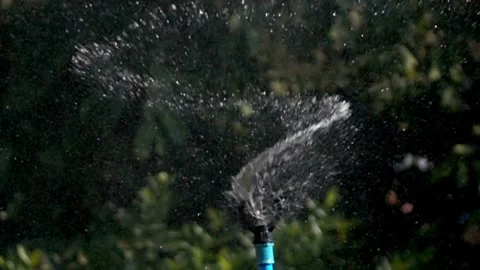 Automatic garden irrigation system watering lawn Savings of water from sprinkler Video stock 334657902