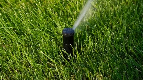 Automatic garden irrigation system watering lawn.  Stock Footage 342599094