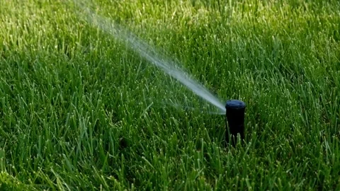 Automatic garden irrigation system watering lawn.  库存影片 342599108