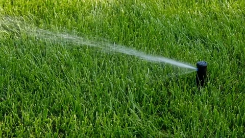 Automatic garden irrigation system watering lawn.  Video stock 342599112